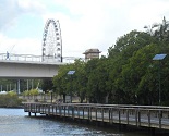 Brisbane River Views with Mirimar Day Cruises