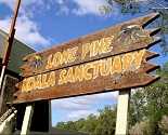 Mirimar Cruises takes you to Lone Pine Koala Sanctuary