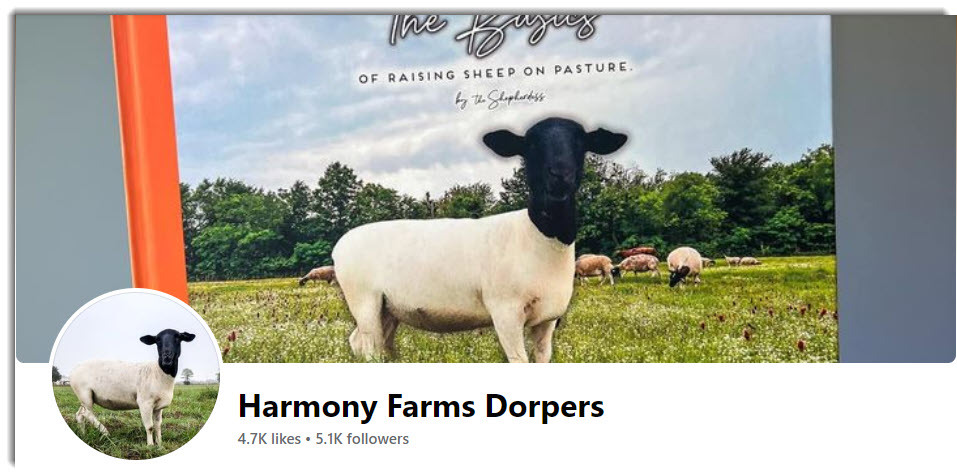 Harmony Farms Dorpers Facebook page