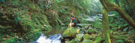 gold coast hinterland things to do